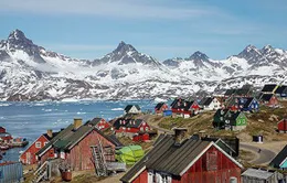 Giá trị đầu tư của Greenland