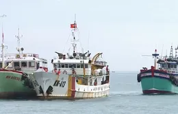 Cứu nạn 2 tàu cá bị trôi dạt trên biển
