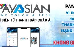 “Chỉ 27 ví điện tử được cấp phép”