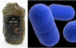 Tây Ban Nha "kích hoạt" cảnh báo y tế quốc gia về bệnh nhiễm khuẩn listeria