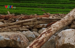 Bài học sau trận lũ quét lịch sử ở Quan Sơn, Thanh Hóa