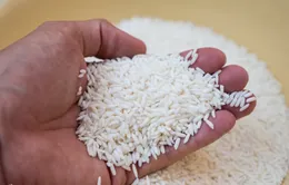 Thiếu cung đẩy giá gạo nếp tại Thái Lan tăng mạnh