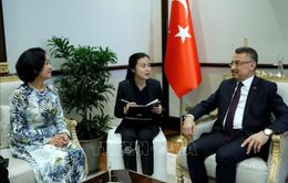 Tăng cường hợp tác Việt Nam - Thổ Nhĩ Kỳ