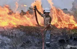 Indonesia huy động máy bay trực thăng đối phó cháy rừng