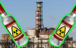 Sản xuất “rượu phóng xạ” từ lúa mạch tại Chernobyl