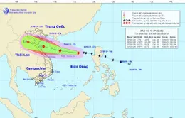 Khoảng chiều đến tối 30/8 bão số 4 vào đất liền Thanh Hóa - Quảng Bình