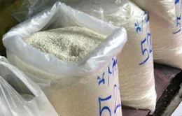 Giá gạo nếp tại Thái Lan tăng cao nhất 5 năm