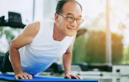 Điều gì xảy ra nếu tập chống đẩy hàng ngày?