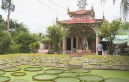 Những điều kỳ bí ở Phước Kiển cổ tự