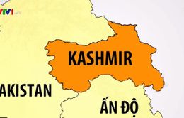 Ấn Độ bãi bỏ điều khoản trao quyền tự trị cho Kashmir