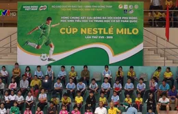 Vòng chung kết giải bóng đá Hội khỏe Phù Đổng toàn quốc Cúp Milo 2019