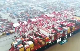 Mỹ thu được nhiều thuế hơn từ hàng nhập khẩu Trung Quốc