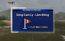 Lũ trên các sông khu vực Tây Nguyên lên cao