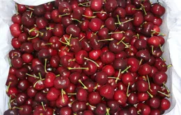 Hàng Mỹ... giá Việt hút người tiêu dùng