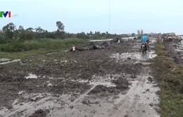 “Đê biển Tây đã được gia cố và đảm bảo an toàn”