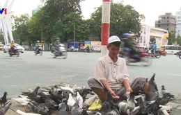 “Ông Bụt” của những đàn chim trời vùng đất Tây Đô