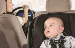 Bắc Mỹ theo đuổi dự luật ngăn để quên trẻ em trên xe