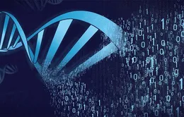 Israel lưu trữ thông tin dưới dạng mã ADN