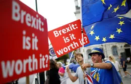 Cảnh báo tác động của Brexit không thỏa thuận