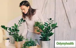 6 mẹo đơn giản bảo vệ bạn khỏi dị ứng do khói bụi