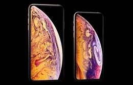 Apple mất ưu đãi độc quyền từ Samsung do mảng kinh doanh iPhone XS max không khả quan