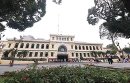Người viết thư thuê cuối cùng ở TP.HCM