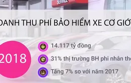 Bảo vệ quyền lợi khi tham gia bảo hiểm xe ô tô