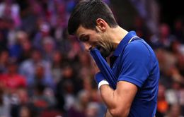 Tại sao Novak Djokovic không tham gia Laver Cup 2019?