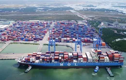 Cảng quốc tế Tân Cảng - Cái Mép (TCIT) đạt gần 3.200.000 Teu năm 2019