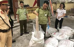 Bắt giữ 700kg lòng lợn đã bốc mùi hôi thối