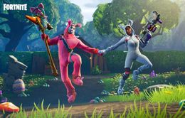 Fortnite và PUBG không thể chơi trên iOS 13 do lỗi nhận diện cử chỉ