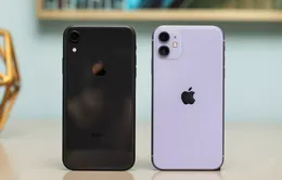 iPhone 11 đọ dáng cùng iPhone XR: "Mèo nào cắn mỉu nào?"