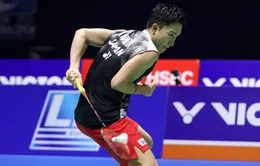 Chung kết giải cầu lông Trung Quốc mở rộng: Kento Momota vô địch đơn nam, Carolina Marin vô địch đơn nữ