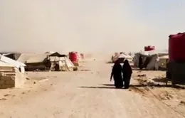 Trại Al Hol - Quả bom hẹn giờ của IS