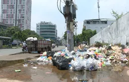 Những bãi rác tự phát ở TP.HCM