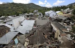 57.000 người Indonesia vô gia cư sau thảm họa sóng thần