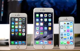 Thông tin đặc biệt quan trọng cho người dùng iPhone 6, iPhone 6 Plus, iPhone 5S