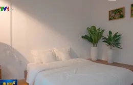 Bùng nổ thị trường đặt phòng trực tuyến tại Việt Nam