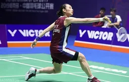 Giải cầu lông Hàn Quốc mở rộng 2019: Tai Tzu-ying bị loại, Kento Momota tiếp tục góp mặt ở chung kết