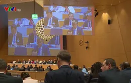 Việt Nam tham dự kỳ họp Đại Hội đồng WIPO 2019