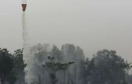 Bom nước - Phương pháp hữu hiệu dập cháy rừng ở Indonesia