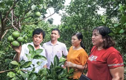 Cần Thơ: Hàng trăm nghìn hộ dân thoát nghèo nhờ vốn tín dụng ngân sách