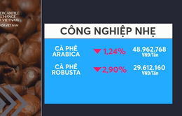 Giá cà phê giảm mạnh