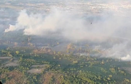 Nỗ lực dập tắt cháy rừng tại Tây Ban Nha