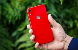 iPhone XR là smartphone bán chạy nhất thế giới nửa đầu năm 2019