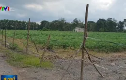 Bùng phát trở lại tình trạng phân lô bán nền trái phép ở Đồng Nai