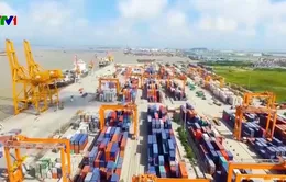 Triển vọng tăng trưởng kinh tế tài chính năm 2020