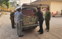 Ngăn chặn gần 2.000 sản phẩm thực phẩm nhập lậu qua Lạng Sơn