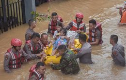 Indonesia thành lập lực lượng phản ứng nhanh ứng phó với thiên tai