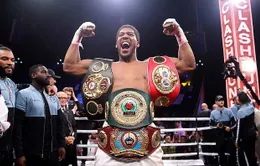 Anthony Joshua có nguy cơ mất đai IBF nếu không thượng đài trong tháng 1